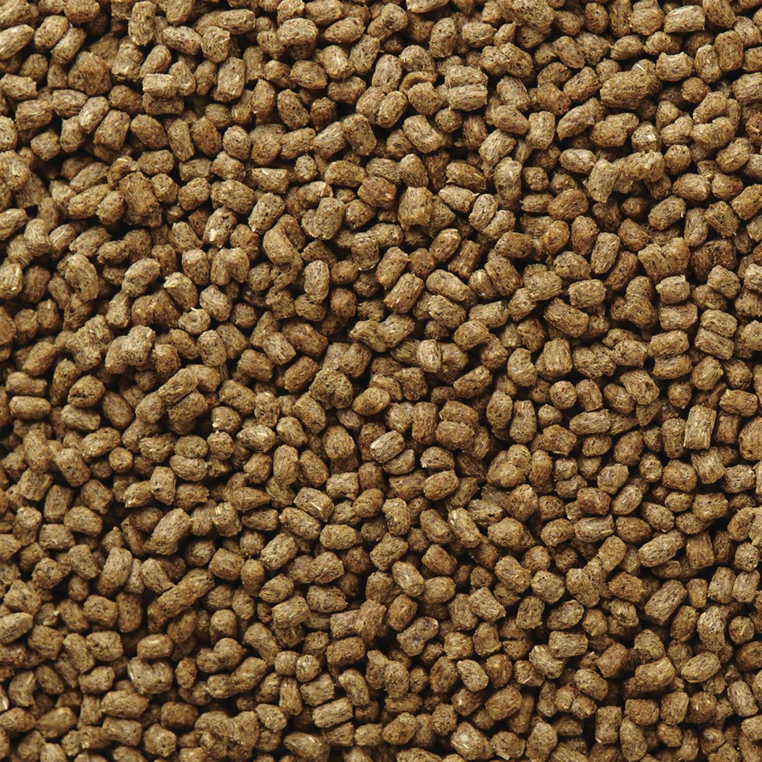 Hedgehog Food Q41317