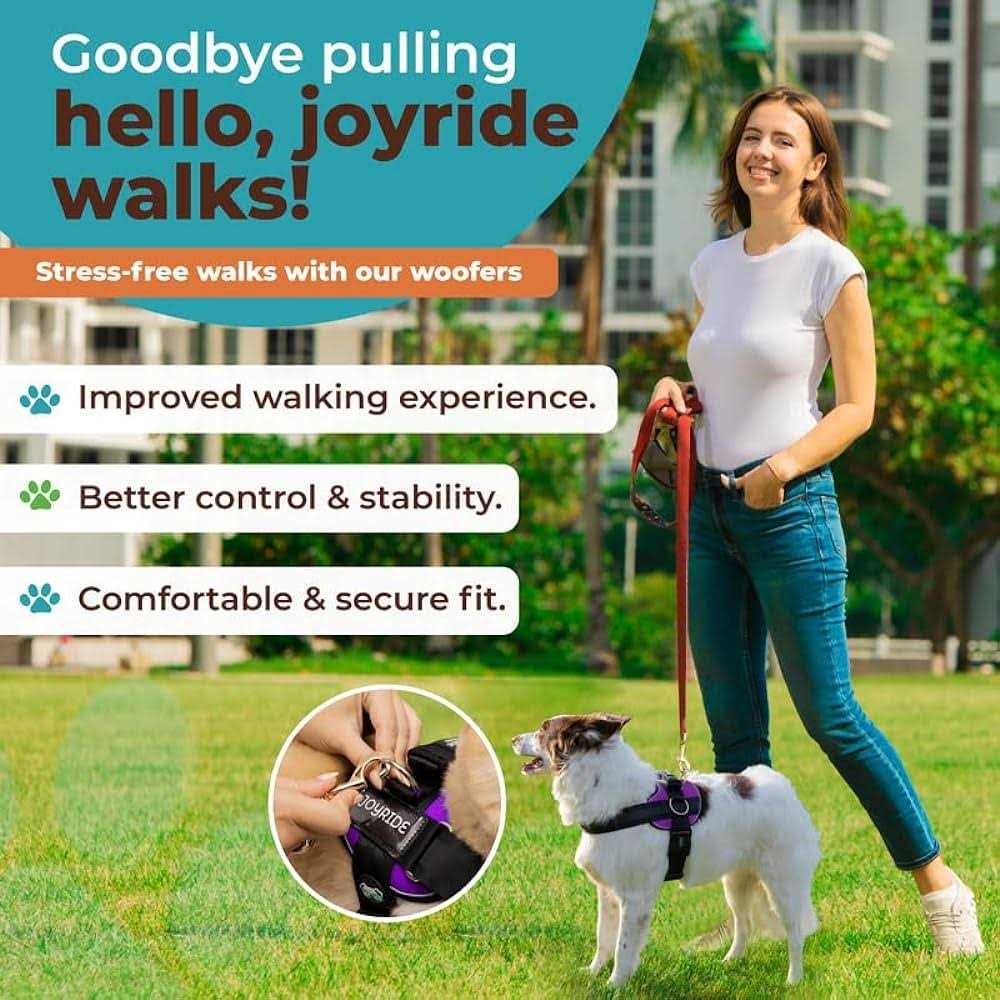 No Pull Easy On-Off Dog Harness M183686