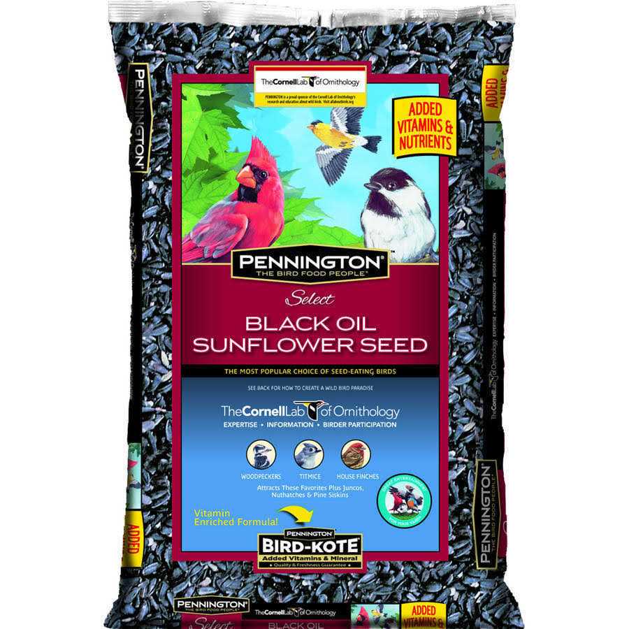 Black Oil Sunflower Seed Wild Bird Feed R56822