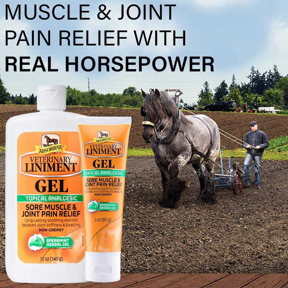 Topical Menthol Analgesic Gel for Sore Muscles N252387