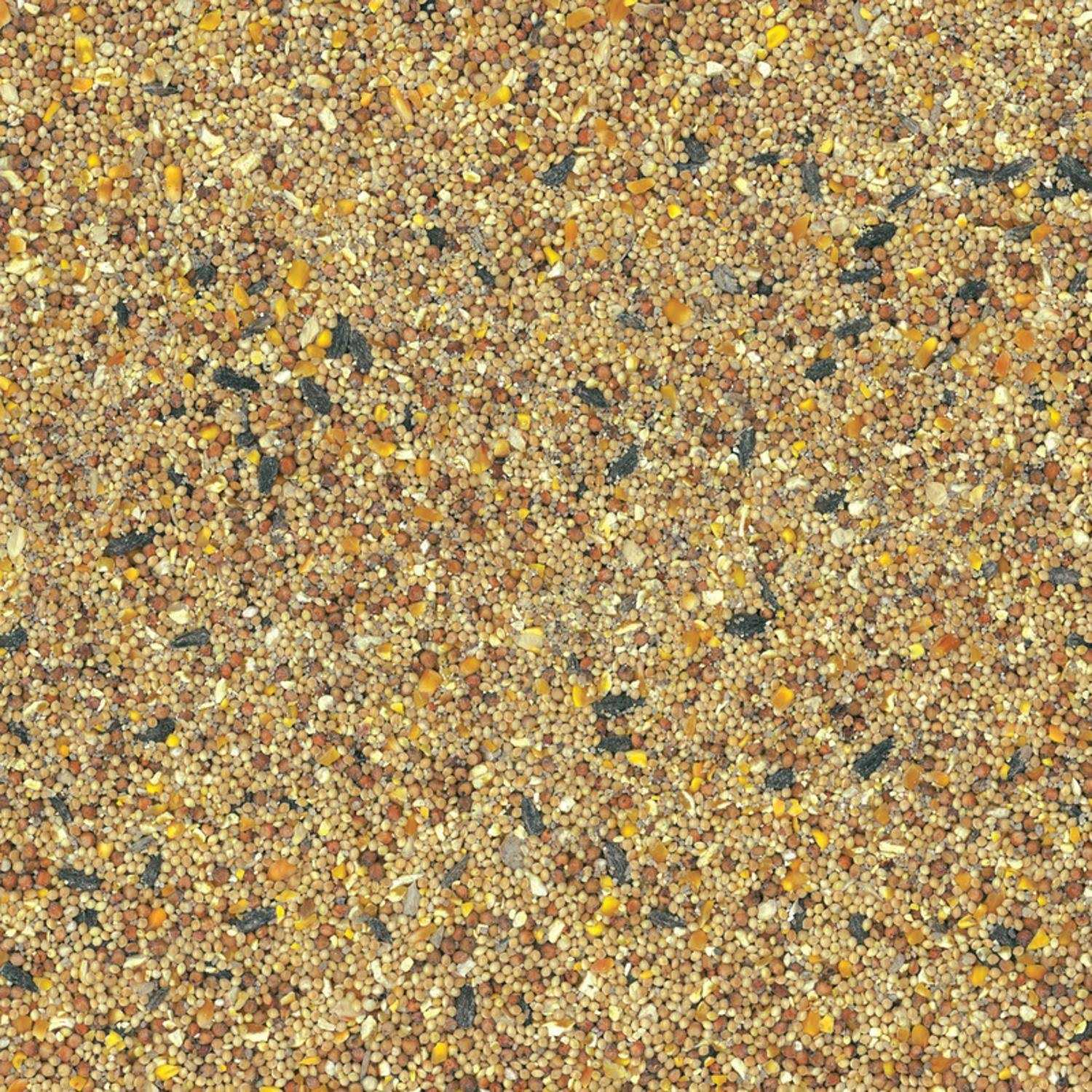Wild Bird Food M387977