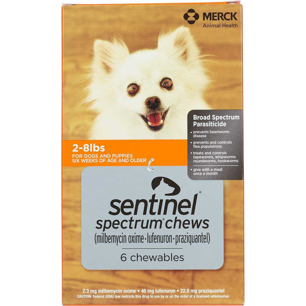 Pet Supplies for Dogs B937911