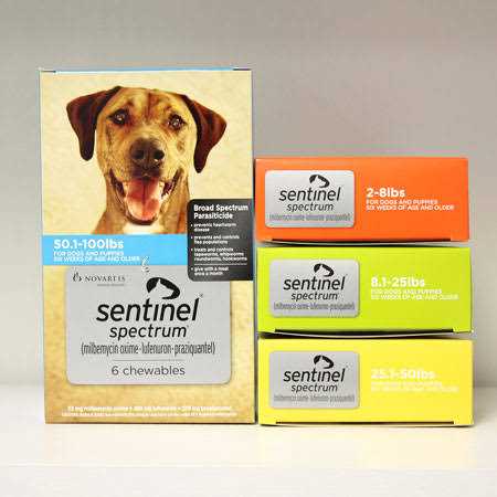 Pet Supplies for Dogs B937911