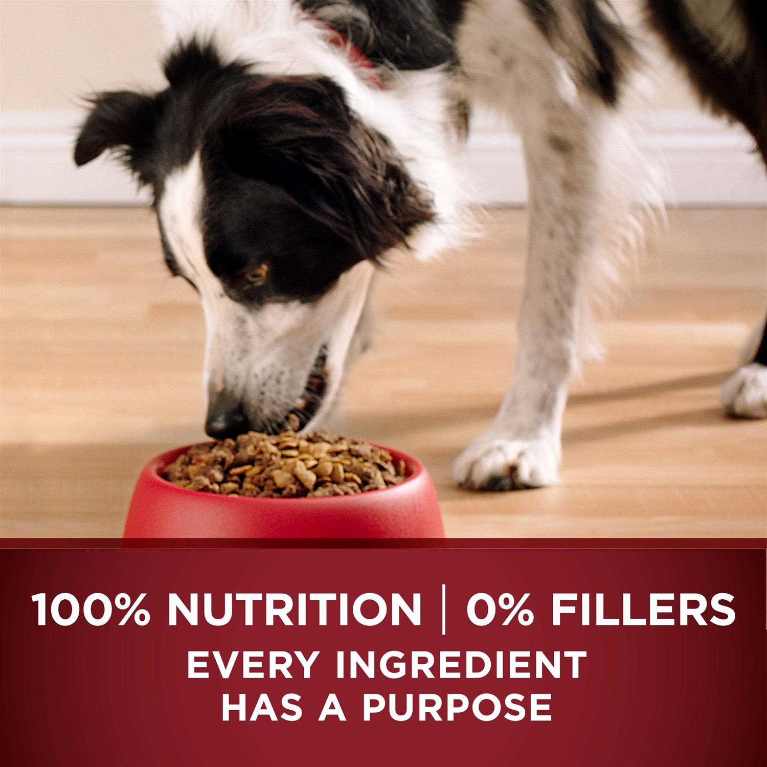 Grain Free Natural Dry Dog Food R71705