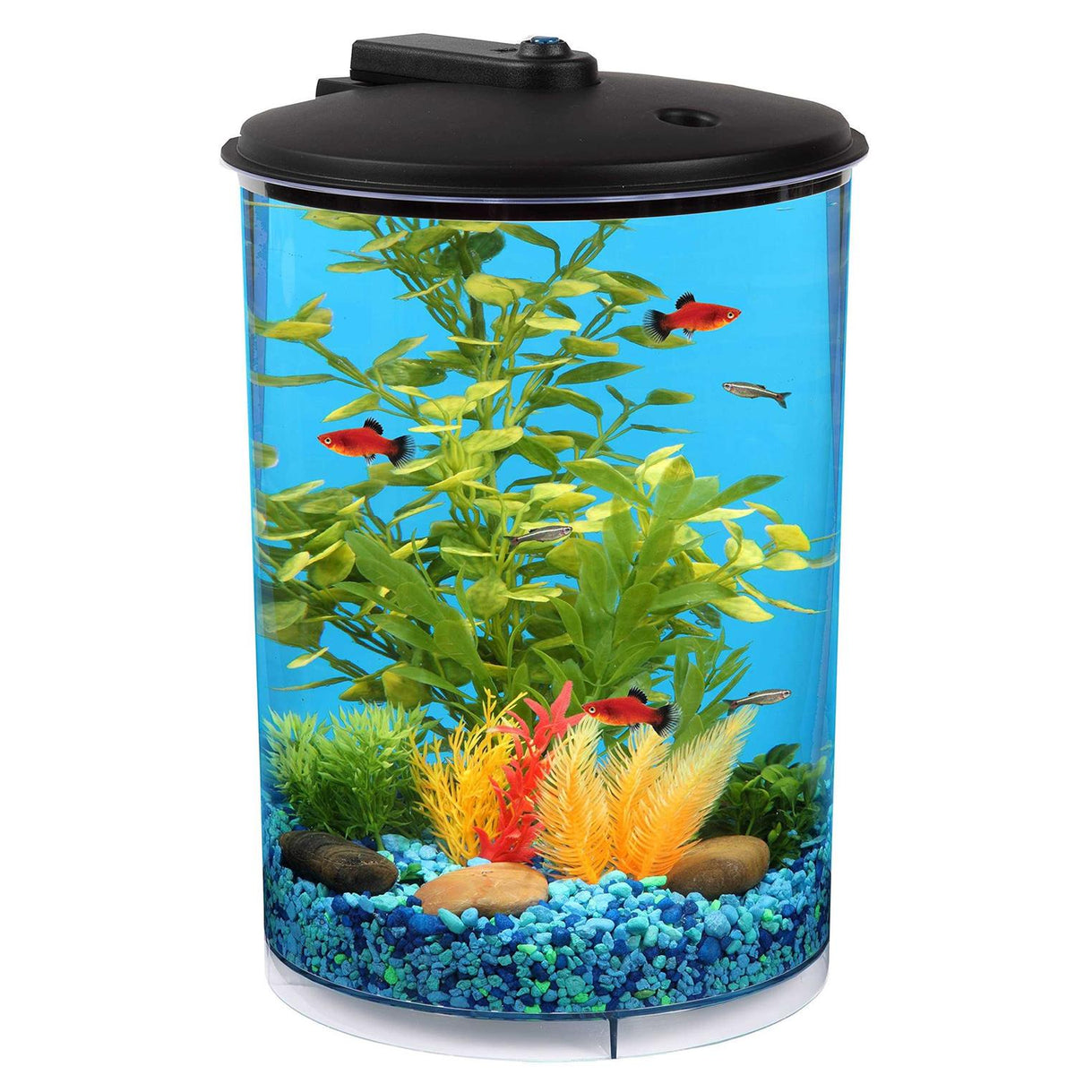 Koller Products 3-Gallon 360 Aquarium with LED Lighting and Power Filter - Pet Supplies online store