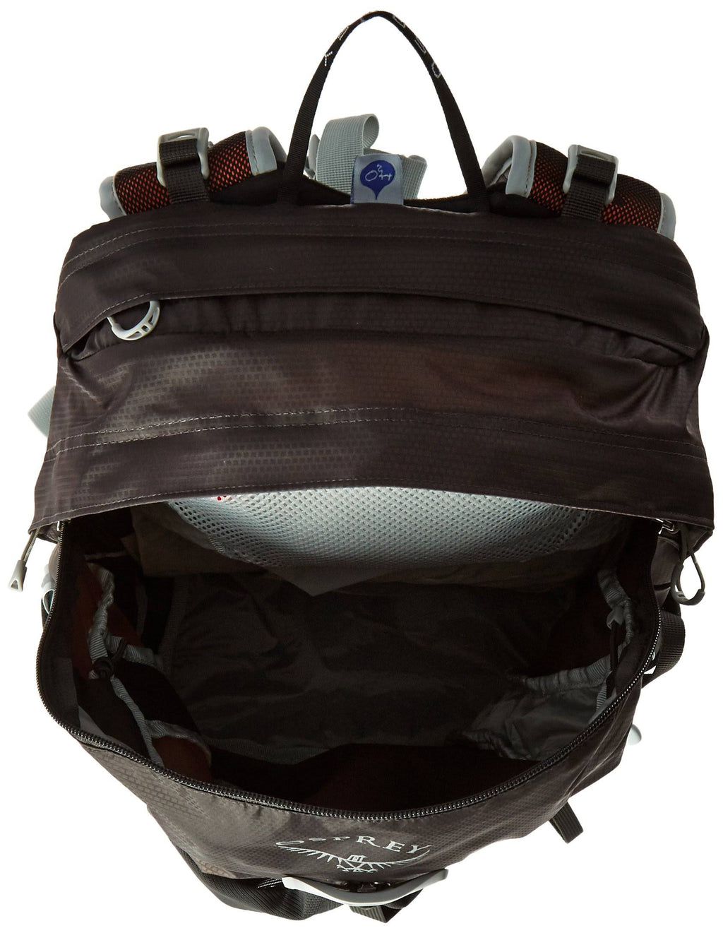 22L Daypack - Black Q427242