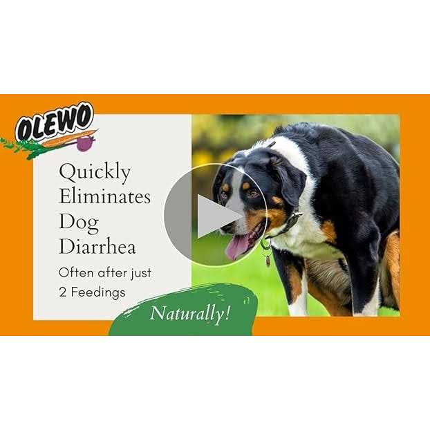 Dehydrated Carrots for Dogs Fiber Supplement U4767