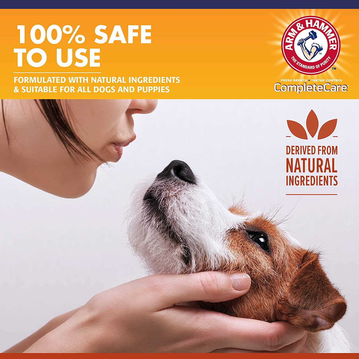 Mint Flavor Dog Dental Spray C13277