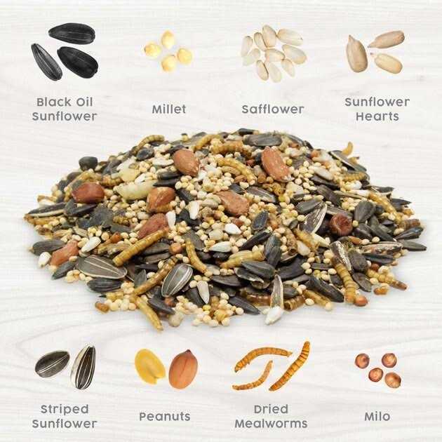 Mealworm Medley Wild Bird Food Blend G81561
