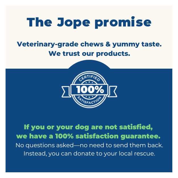 Hip & Joint Dog Chews X259669