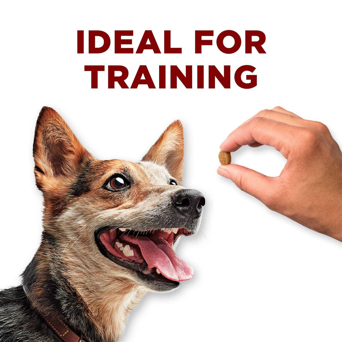 Dog Training Treats with Farm-Raised Chicken K5146