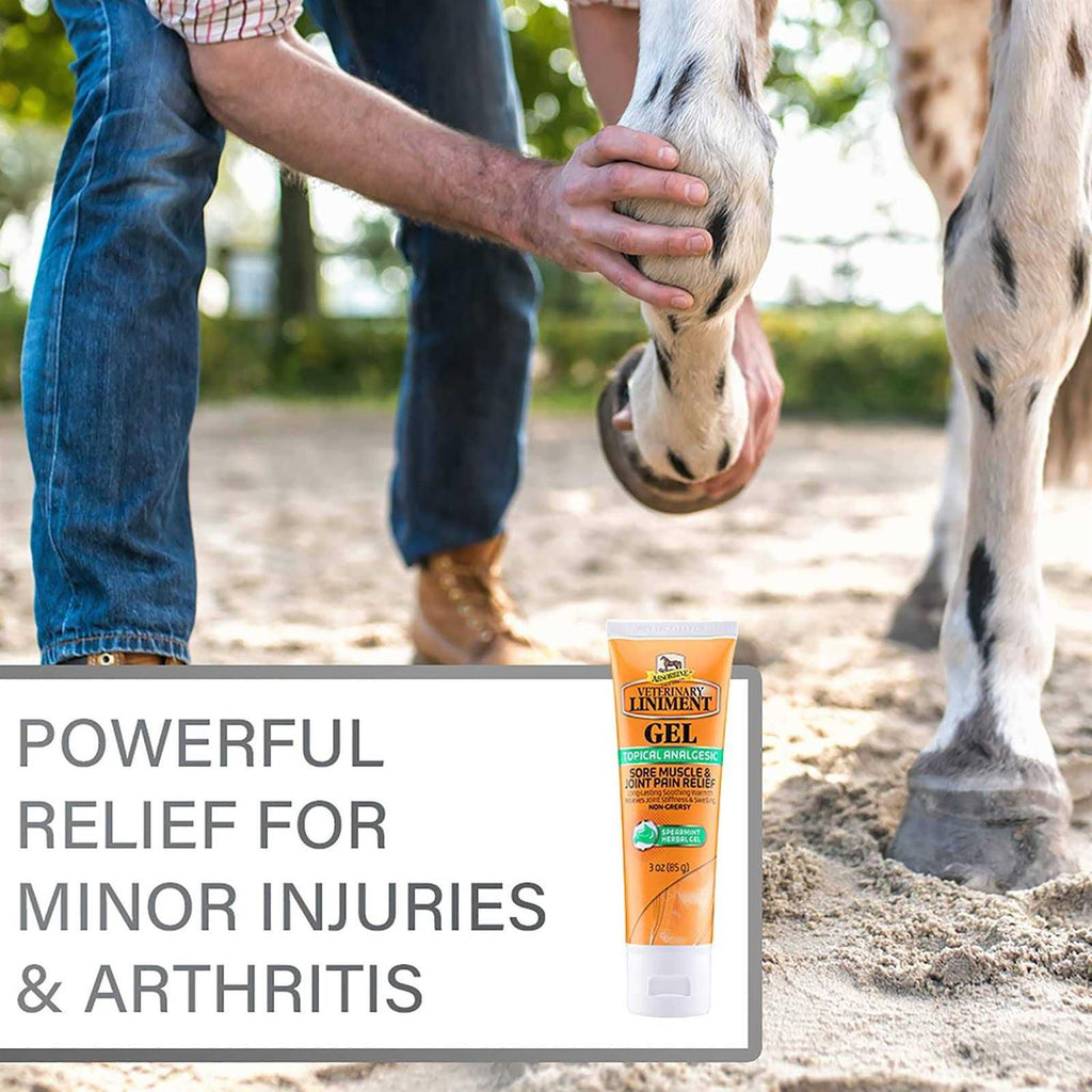 Topical Menthol Analgesic Gel for Sore Muscles N252387