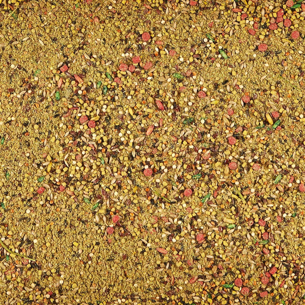 Molting Conditioning for Birds B849