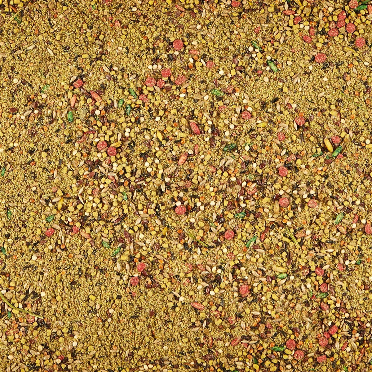 Molting Conditioning for Birds B849