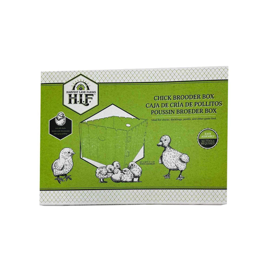 Chick Brooder Box Y78008