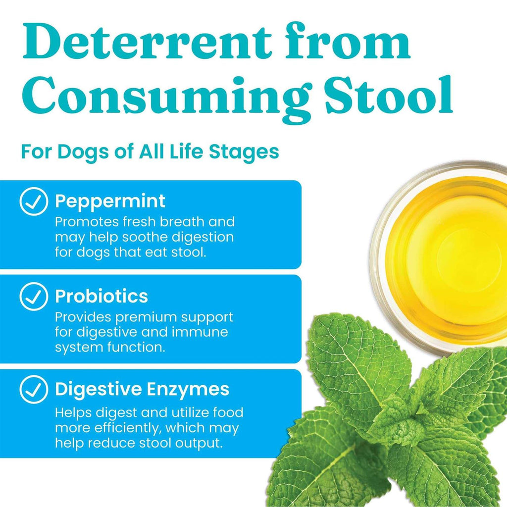 Stop Eating Poop Chews for Dogs with Coprophagia P960