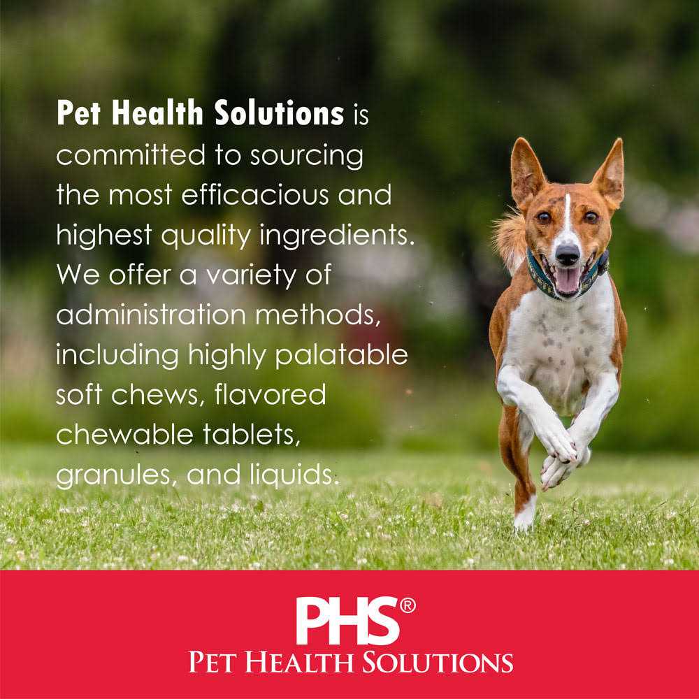Dental Dog Treats for Oral Hygiene L92269