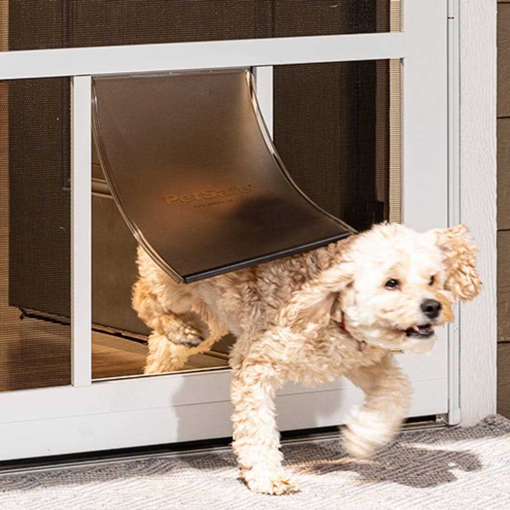 Aluminum Hinged Screen Door 32-in x 81-in Z1203