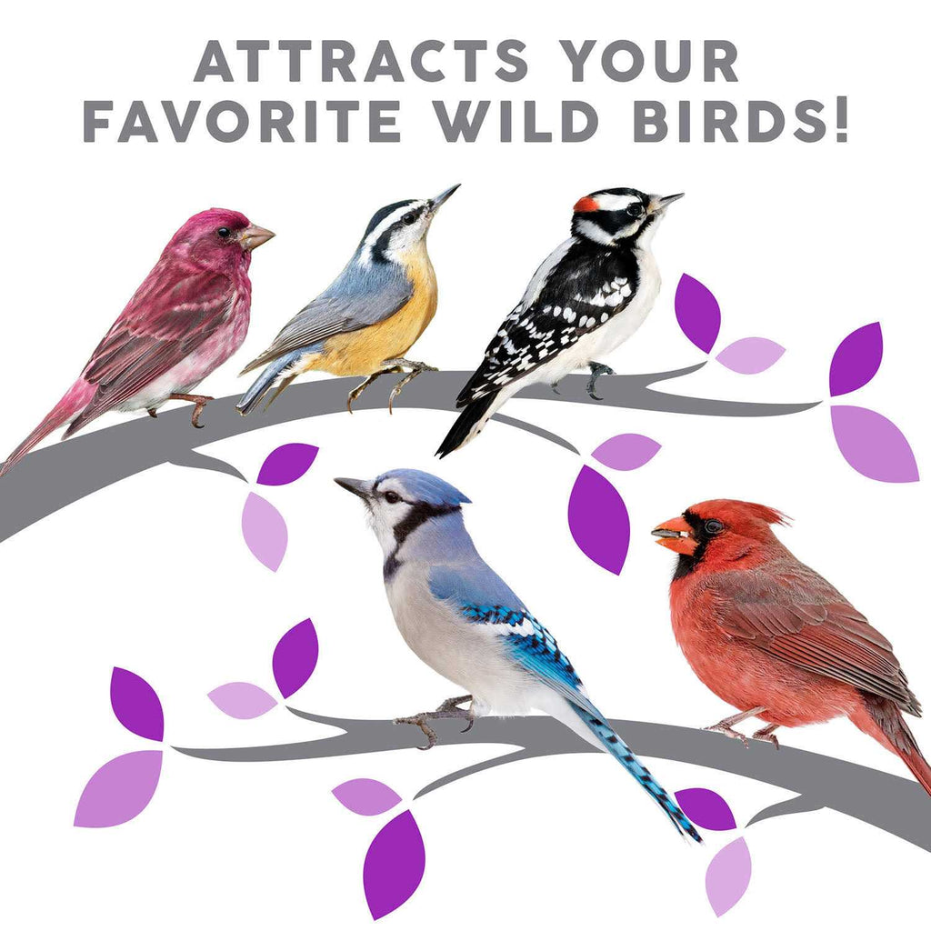 Birder's Medley Wild Bird Food V7516