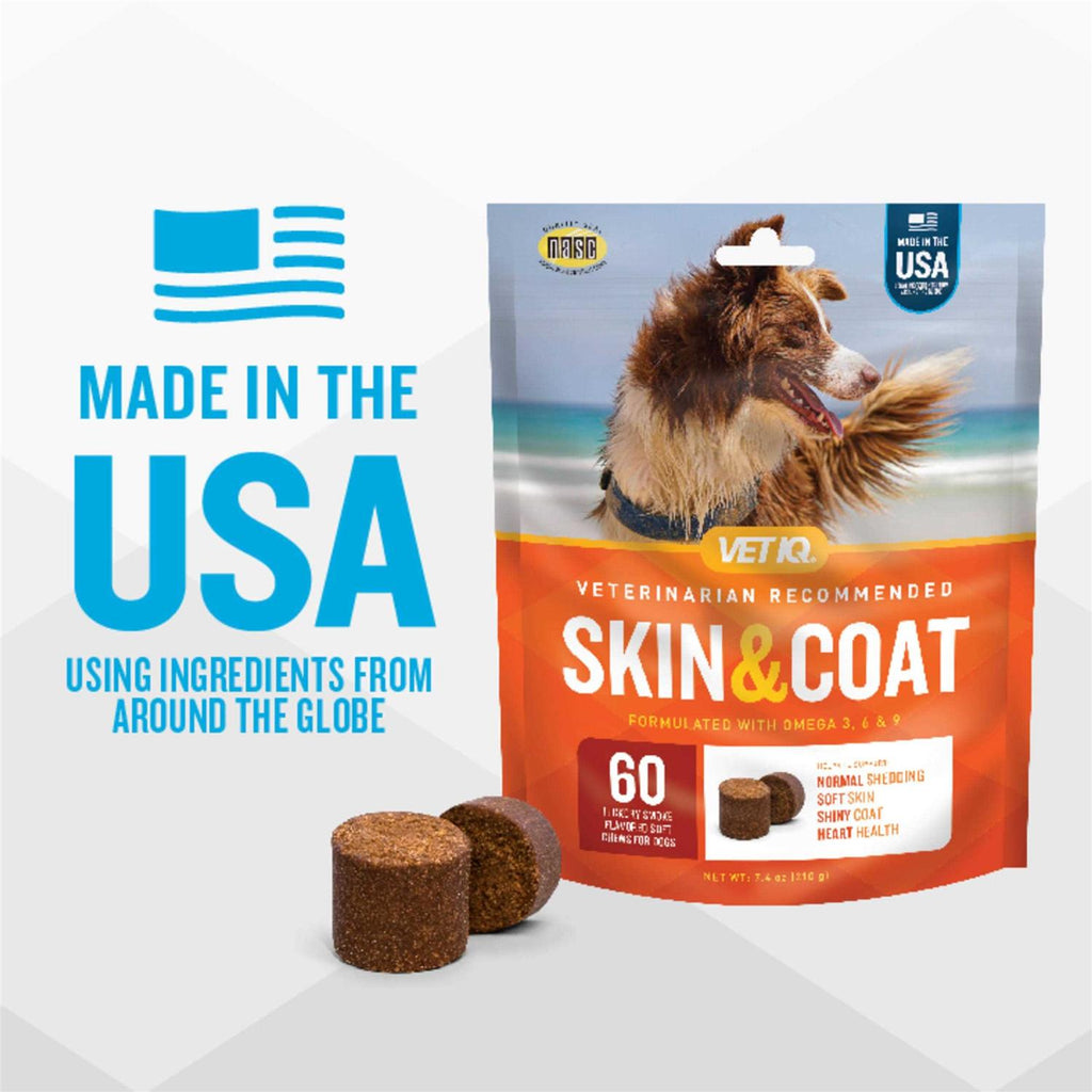 Skin & Coat Soft Chews for Dogs D388723