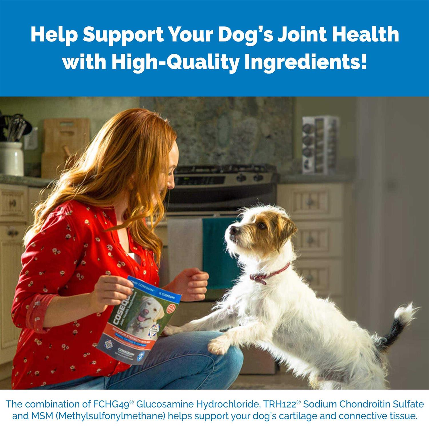 Joint Support Supplement with MSM and HA for Dogs D953