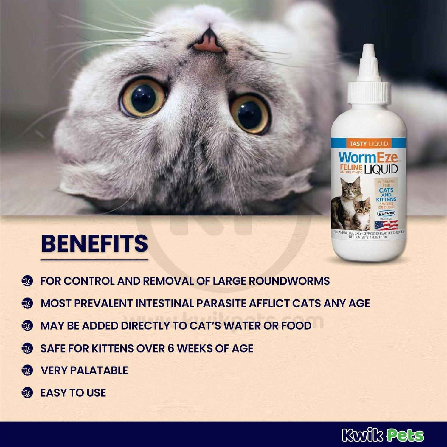 Feline Liquid Dewormer N257255