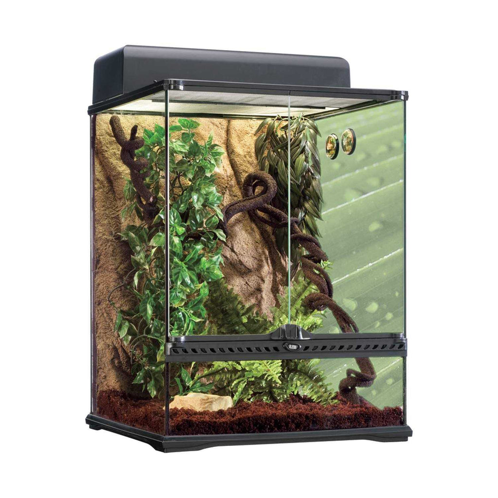 Rainforest Habitat Kit E810181