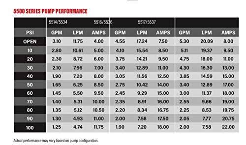 High Performance Professional Water Pump R196