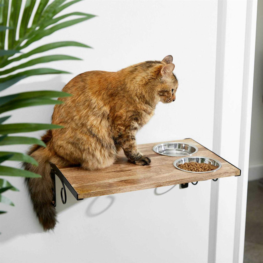 Frisco Wooden Wall Mounted Stainless Steel Cat Feeding Station with Bowl - Pet Supplies online store