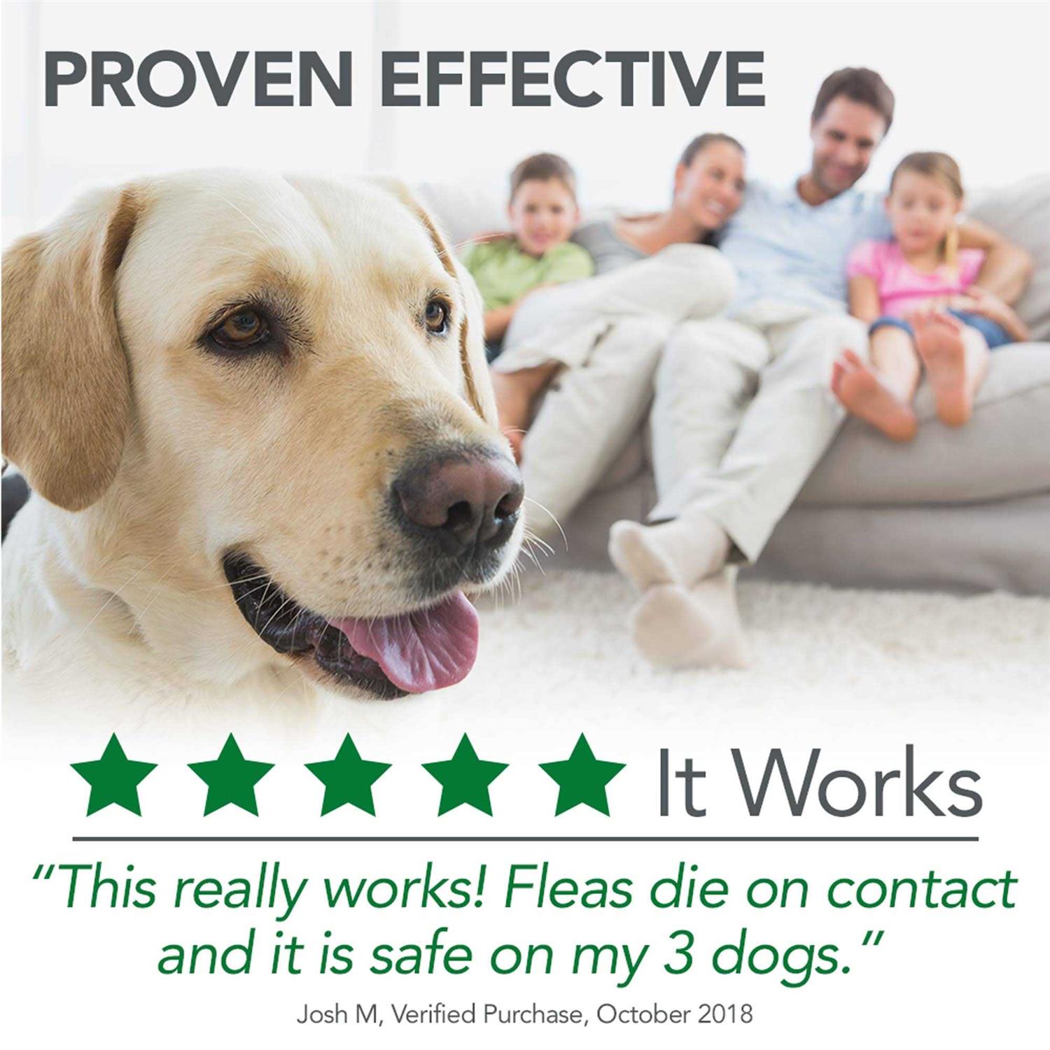 Flea and Tick Home Spray for Pets B76875