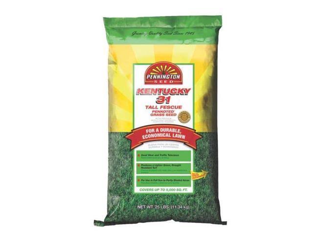 Kentucky 31 Tall Fescue Grass Seed 25 lb A762127