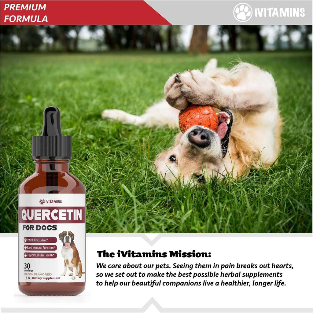 Quercetin for Dogs Allergy Relief Supplement X81158