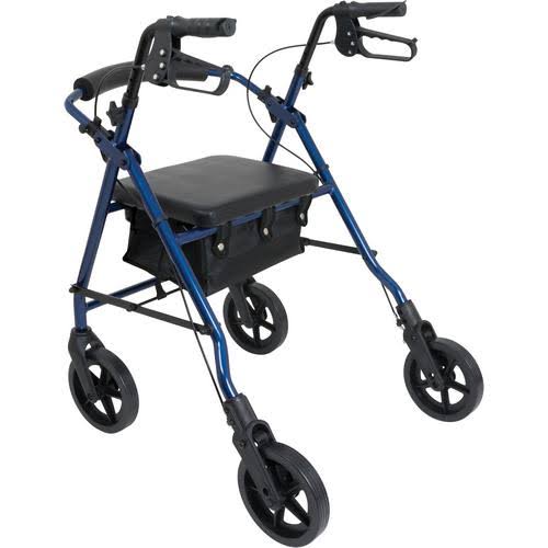 Aluminum Rollator with 8-Inch Wheels P56023