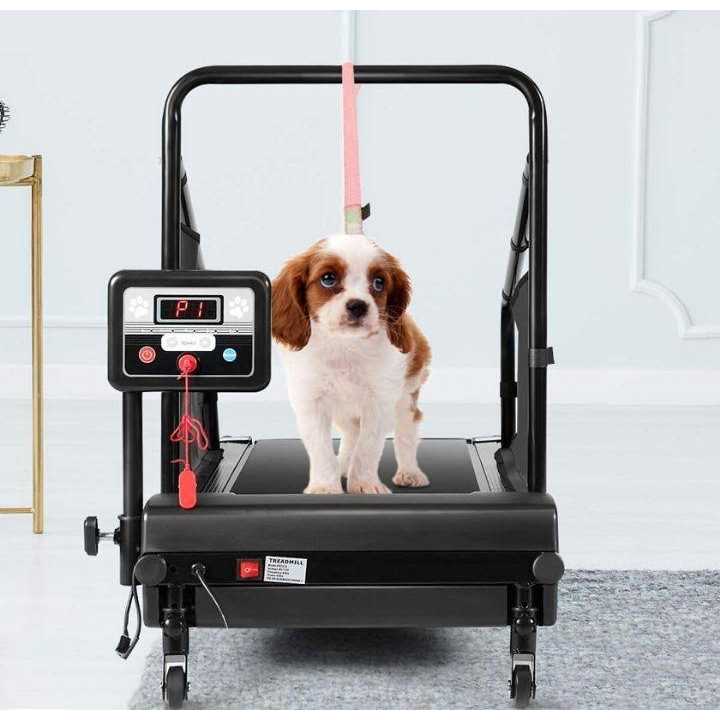 Dog Treadmill for Small and Medium Dogs Indoor Pet Running Machine L3515