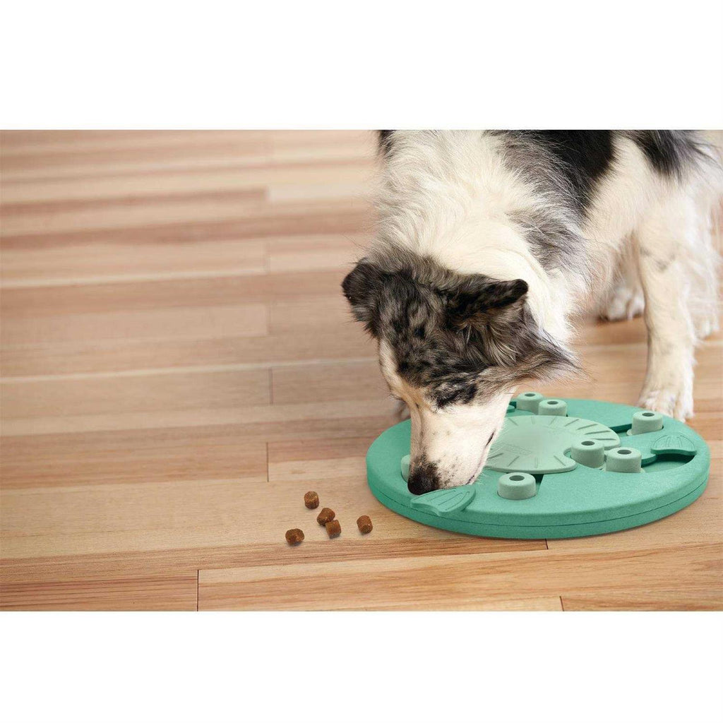 Interactive Puzzle Dog Toy Z856234