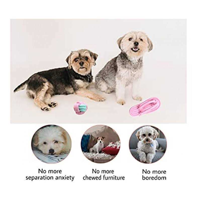 Dog Hanging Bungee Tug Toy for Small to Large Dogs L547