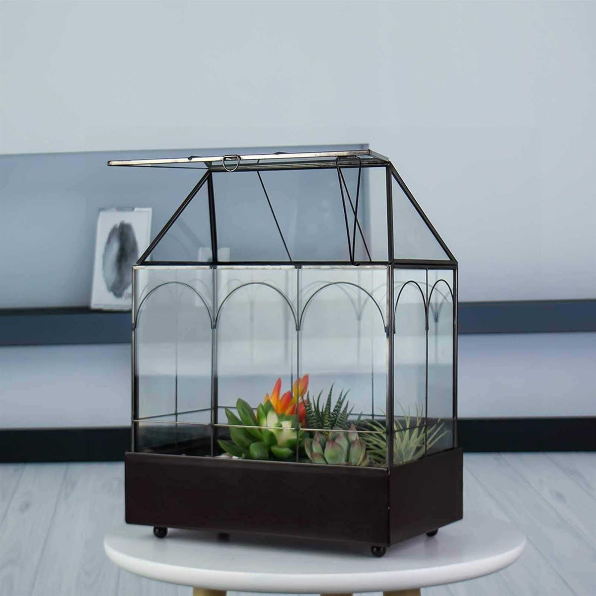 Large Glass Plant Terrarium with Tray for Succulents Q70954