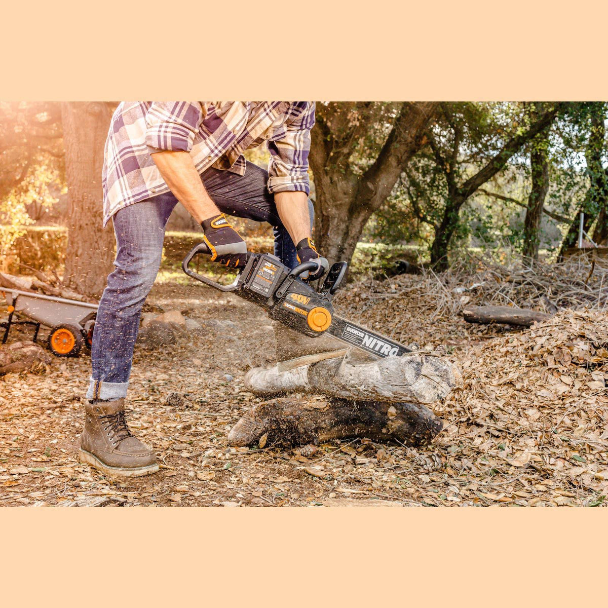 Cordless 16x22 Chainsaw with Brushless Motor Y8798