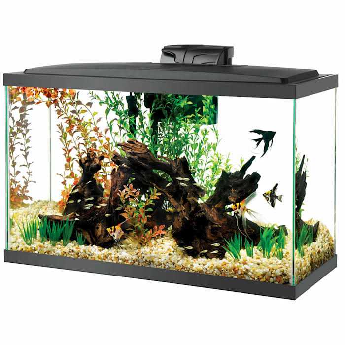 29 Gallon Aquarium Tank G907919