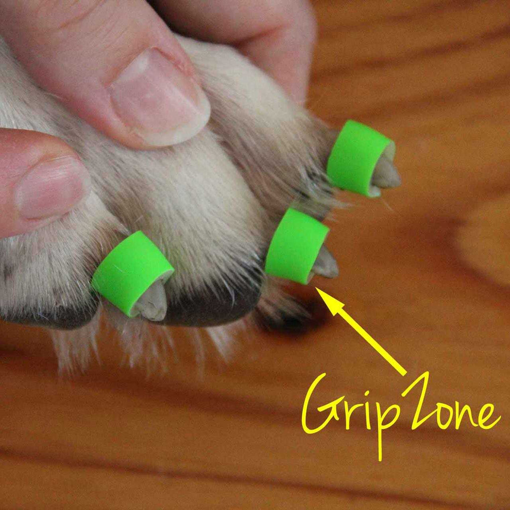 Large Toegrips for Dogs Traction on Hardwood Floors I955
