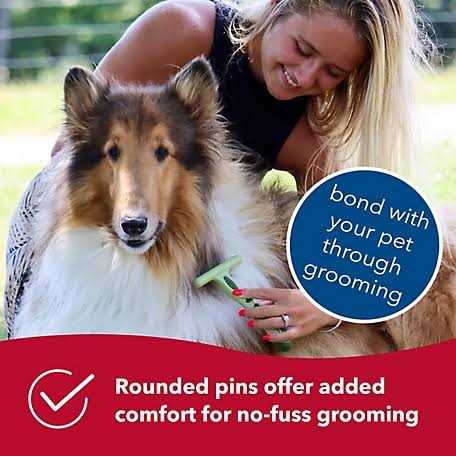 Double Row Undercoat Rake for Dogs E12947