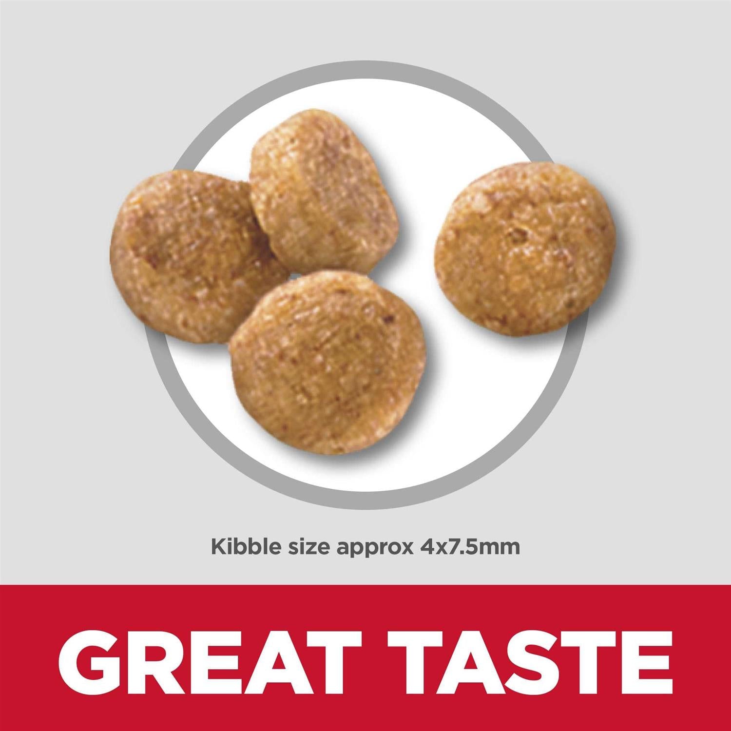 Adult 7+ Senior Vitality Small & Mini Chicken & Rice Recipe Dog Food Z97716