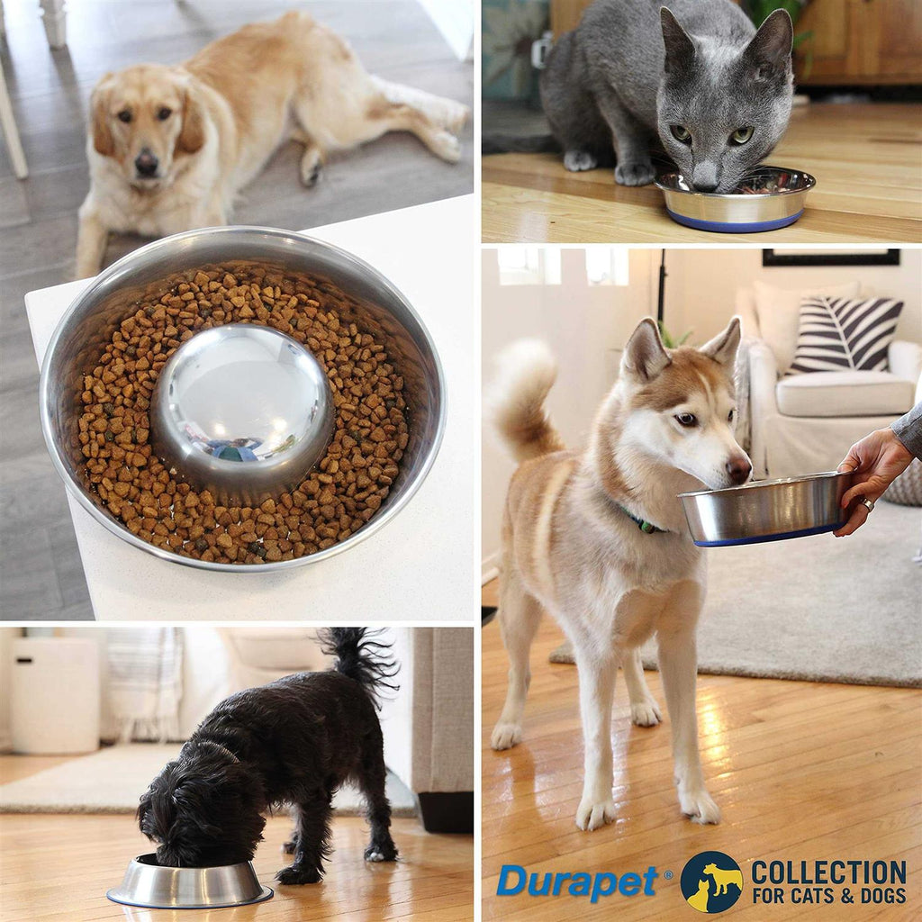 Premium Pet Bowl B880