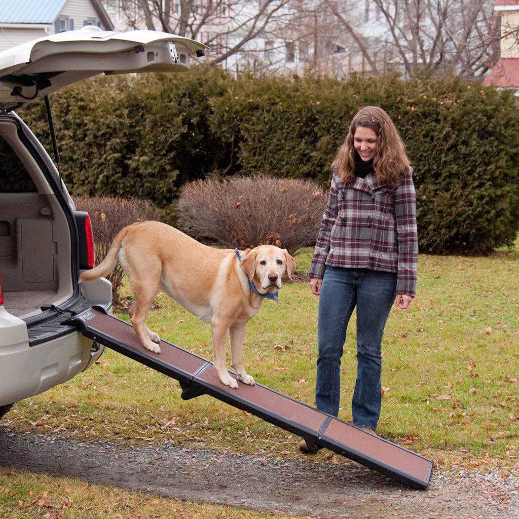 Tri-Fold Pet Ramp for Dogs and Cats Z78728