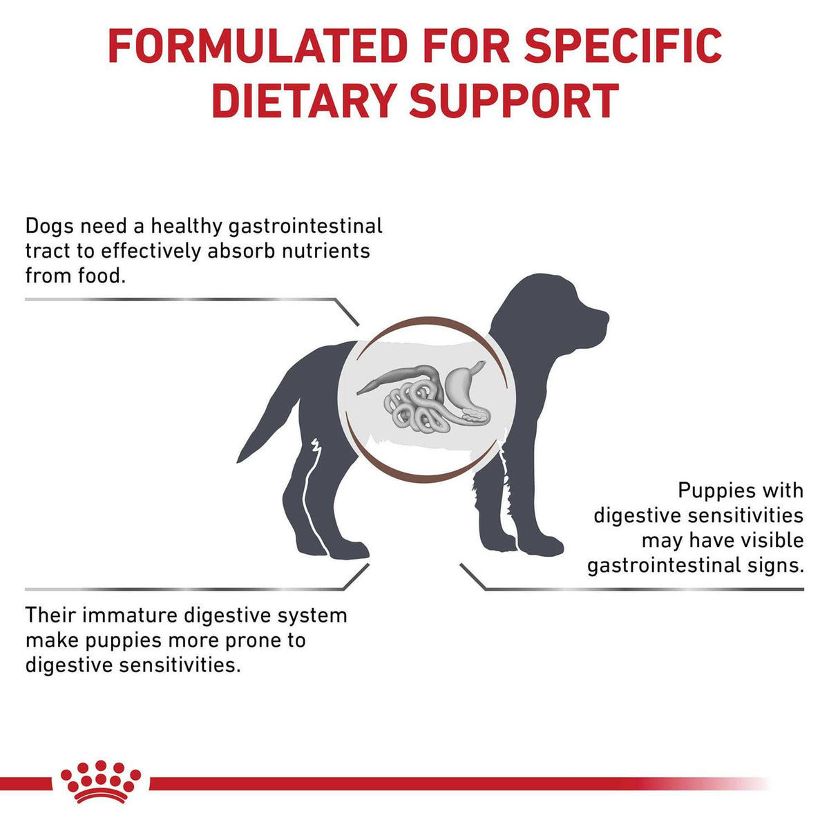 Gastrointestinal Puppy Dry Dog Food Q208