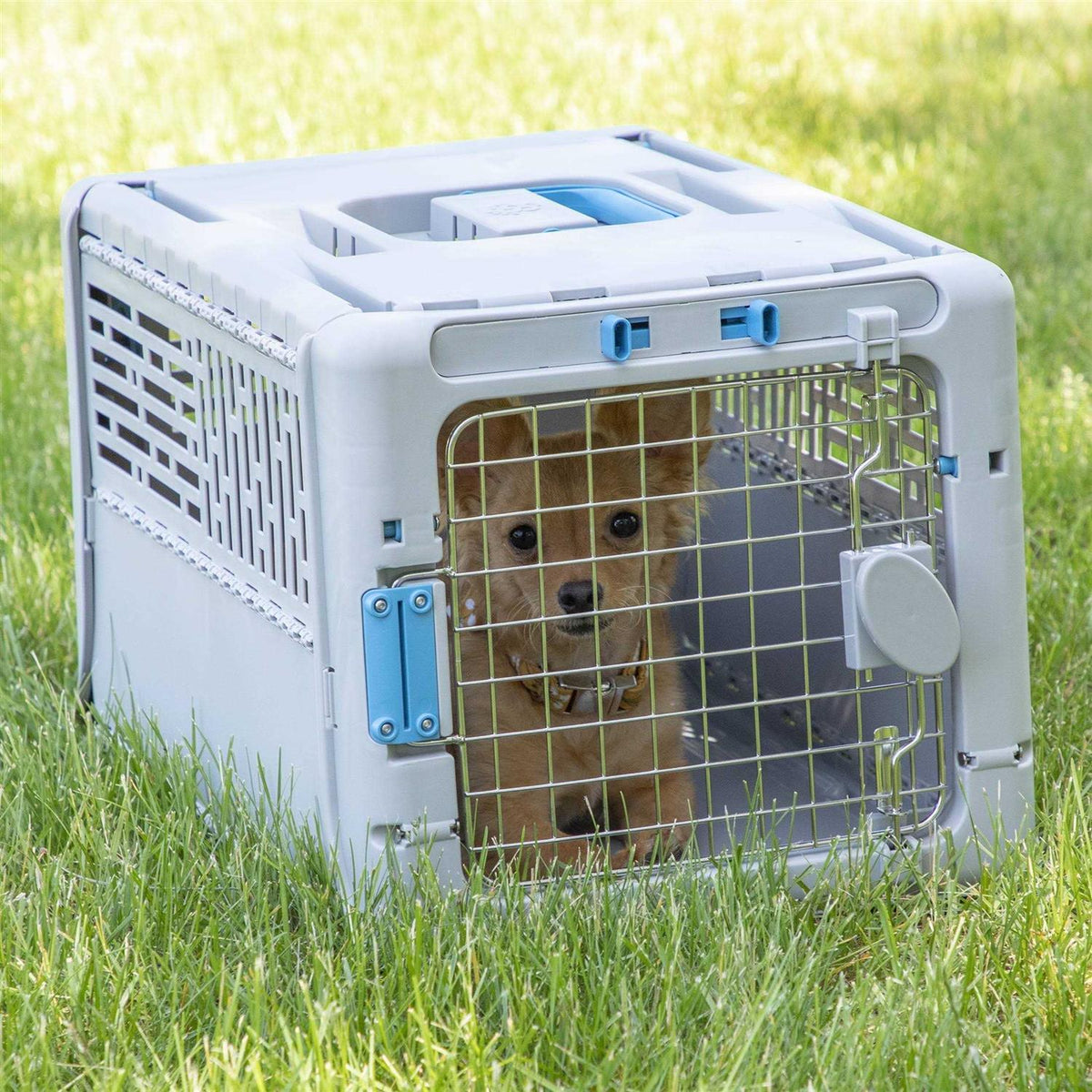 Collapsible Plastic Dog Kennel Z8929