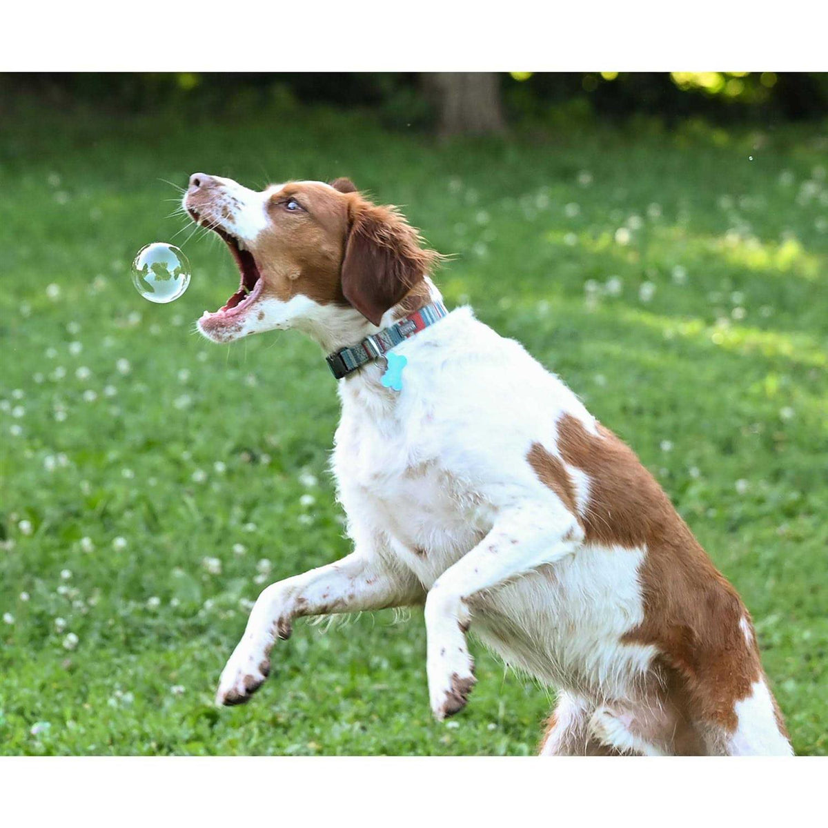 Peanut Butter & Bacon Scented Bubbles for Dogs, 4oz Bottle, 2 Pack F793034