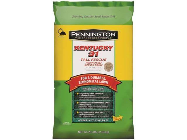 Kentucky 31 Tall Fescue Grass Seed 25 lb A762127
