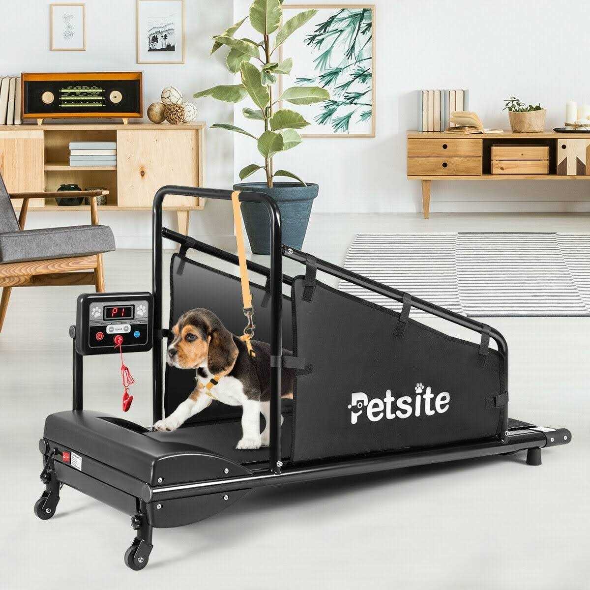 Indoor Pet Exercise Equipment with Remote Control M78293