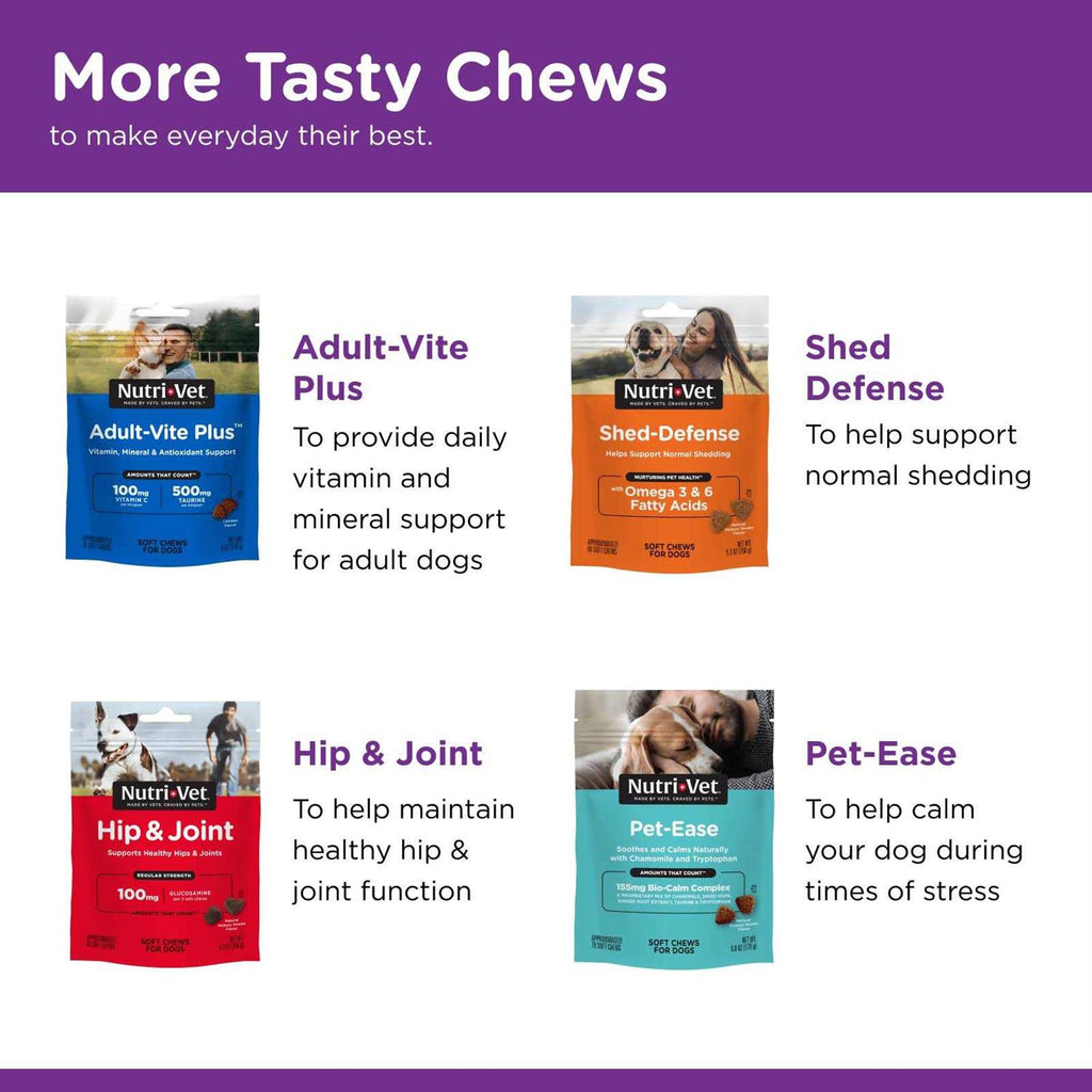 Pre and Probiotic Soft Chews for Dogs Z618